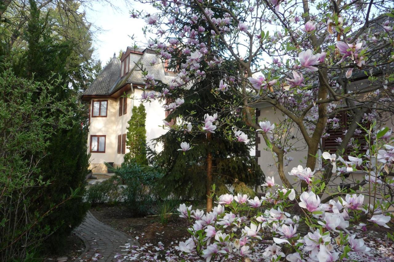 Balaton Art Guesthouse Balatonszárszó 외부 사진