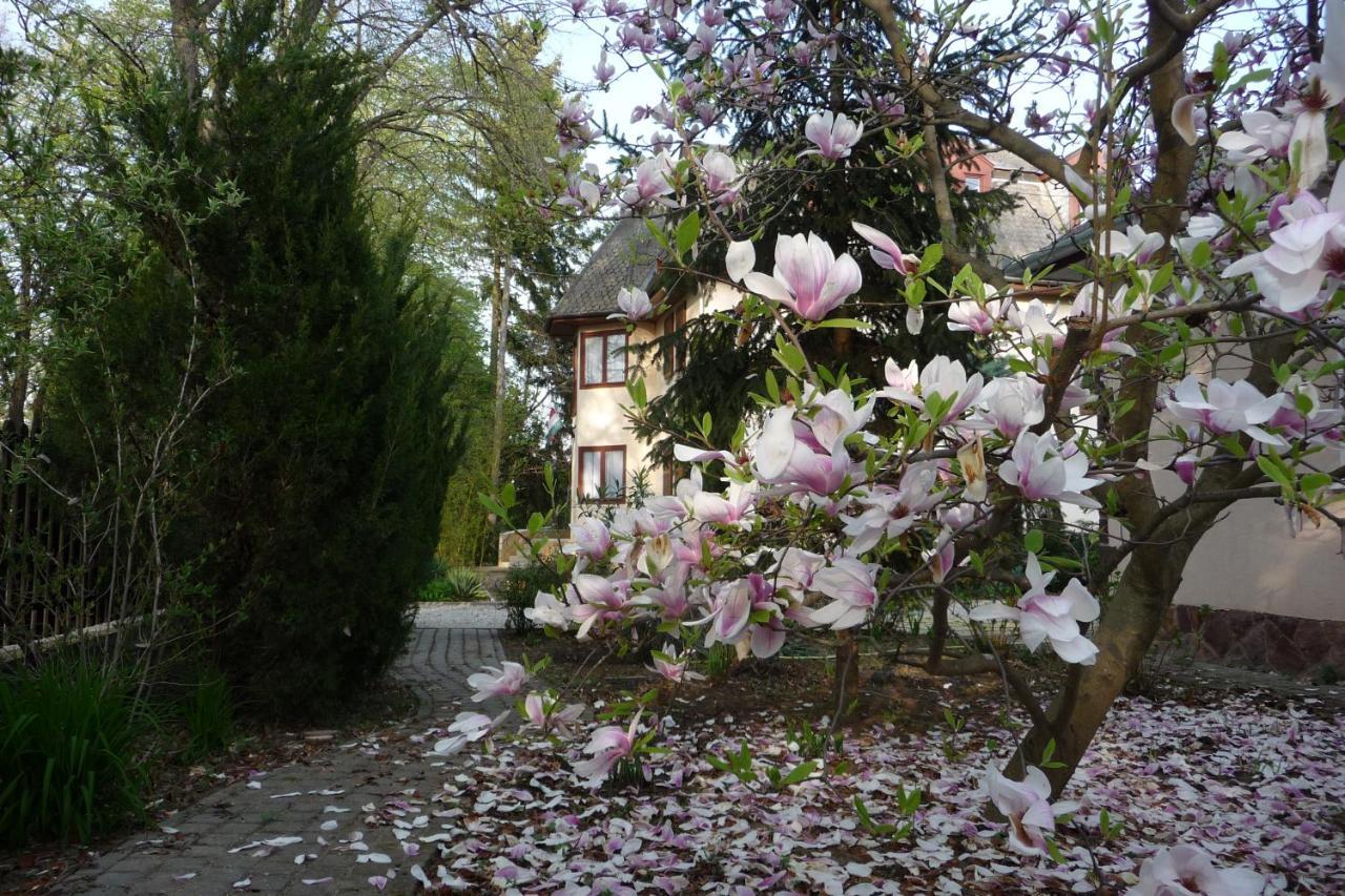 Balaton Art Guesthouse Balatonszárszó 외부 사진