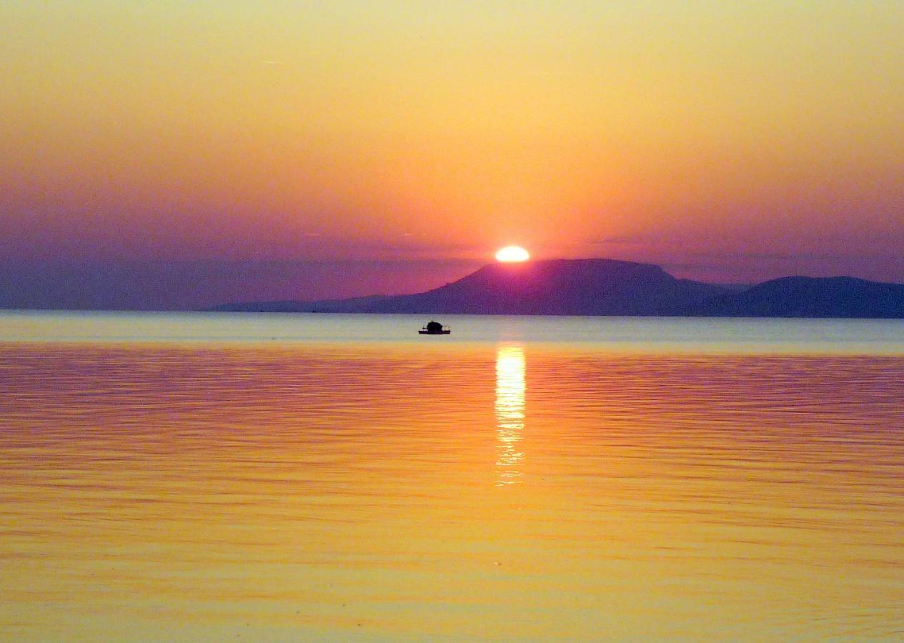 Balaton Art Guesthouse Balatonszárszó 외부 사진