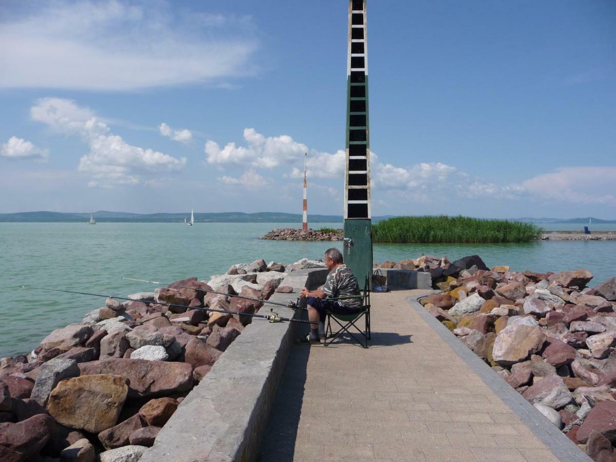 Balaton Art Guesthouse Balatonszárszó 외부 사진